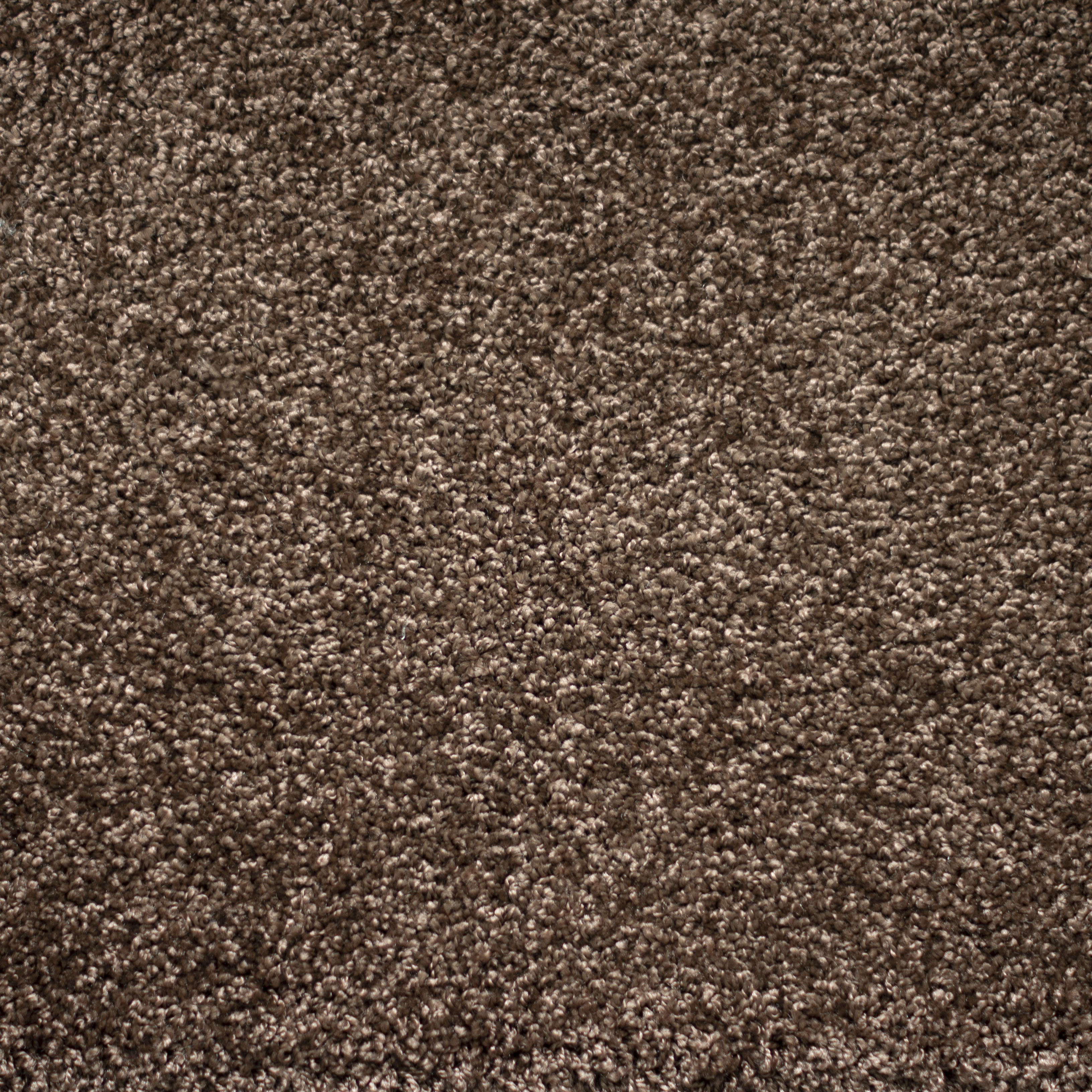 Ковролин "Зартекс" Tesoro 156 коричневый (4м) — купить в Владимире