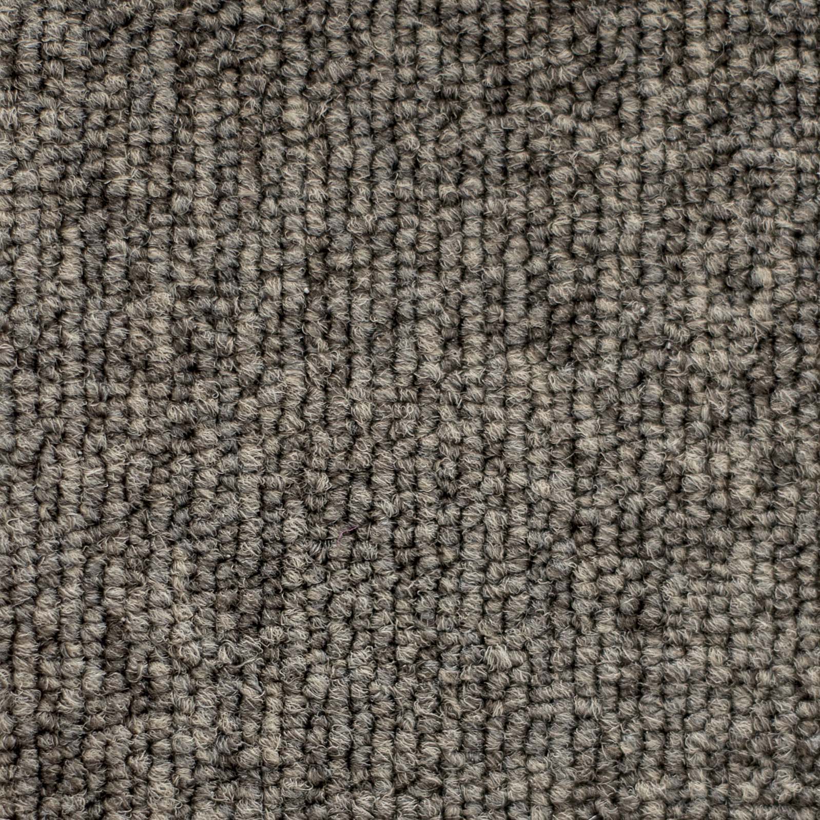 Ковролин "Зартекс" Daily 68 коричневый (4м) — купить в Владимире