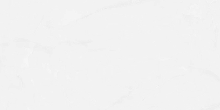 Керамогранит "Wan Sheng" Glazed (1200*600 мм) Серый D12617 — купить в Владимире