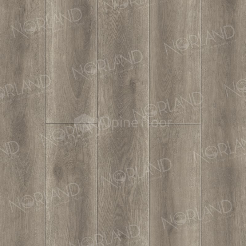 SPC Ламинат "Norland" Templet (1220*196*8 мм) — купить в Владимире