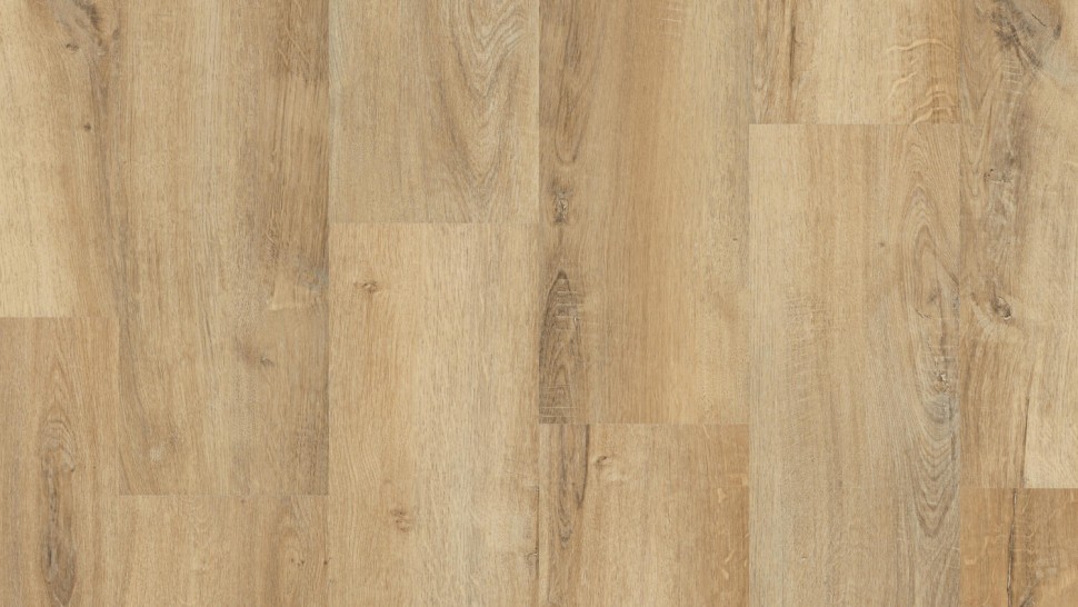 Виниловый ламинат "Tarkett" Funky House Bob (1220*195*3,85 мм) — купить в Владимире