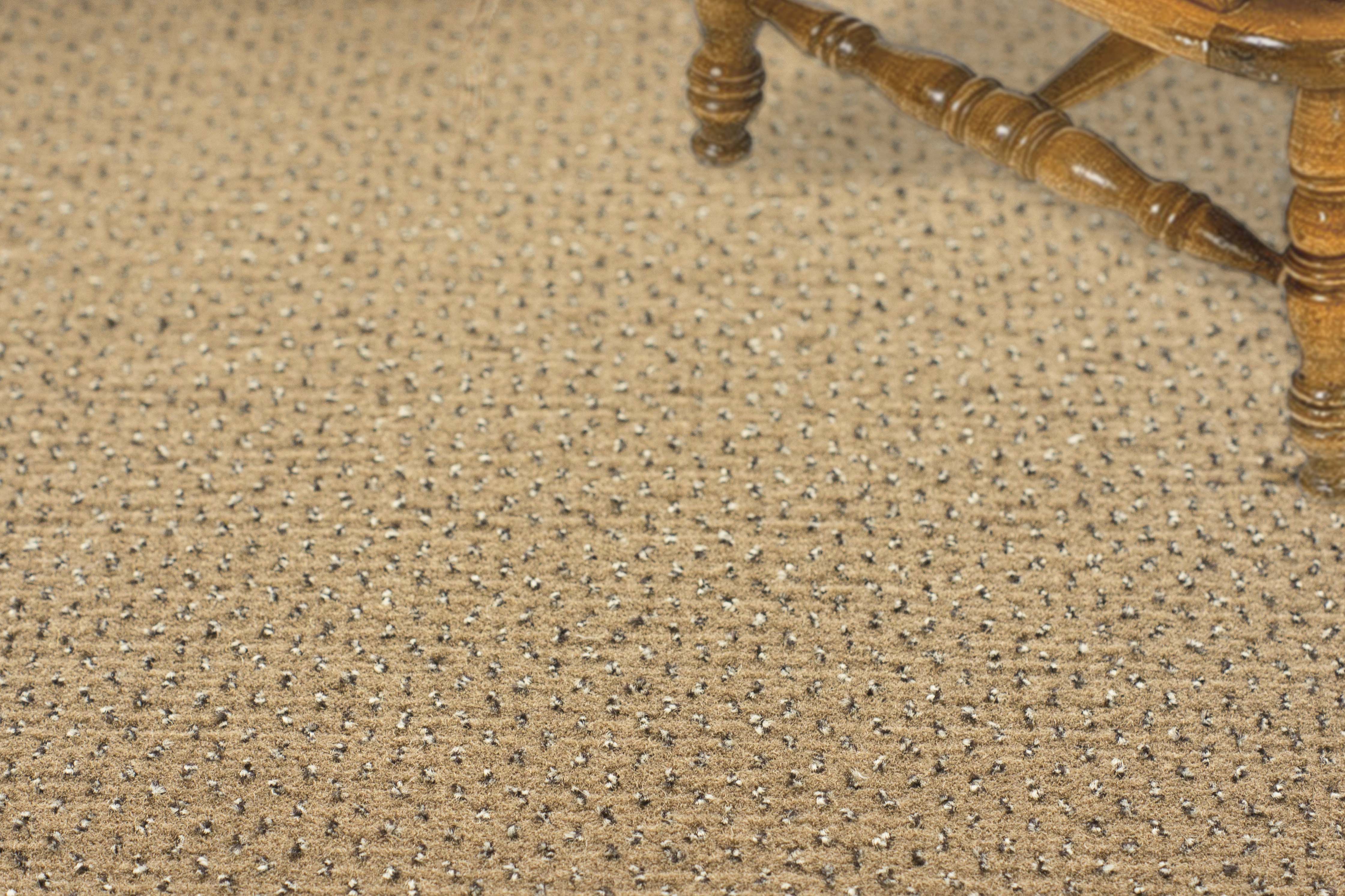 Ковролин "Зартекс" Eternity 142 бежевый (4м) — купить в Владимире