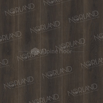 SPC Ламинат "Norland" Tanaelva (1220*196*8 мм) — фото и характеристики